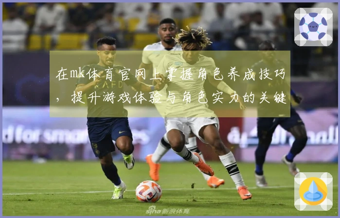 在mk体育官网上掌握角色养成技巧，提升游戏体验与角色实力的关键指南