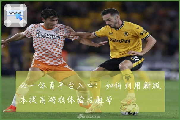 必一体育平台入口：如何利用新版本提高游戏体验与胜率